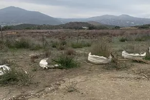 25675 Potrero Park Dr, Potrero, CA 91963 - Photo 52