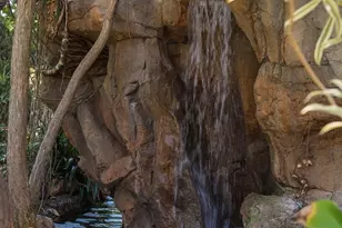 1010 Myrtle Way, San Diego, CA 92103 - Photo 56