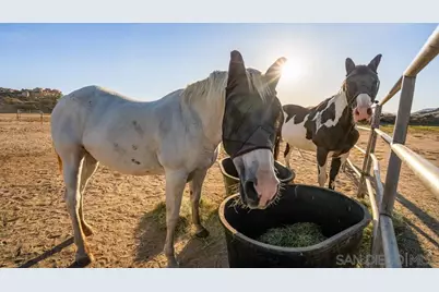  40760 Old Highway 80, Boulevard, CA 91905 - Photo 72