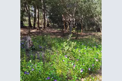  4470 Pine Ridge Avenue, Julian, CA 92036 - Photo 34