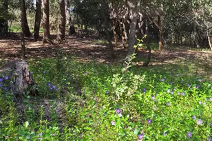 4470 Pine Ridge Ave, Julian, CA 92036 - Photo 34