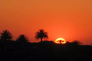 15348-15358 Running Deer Trail, Poway, CA 92064 - Photo 56