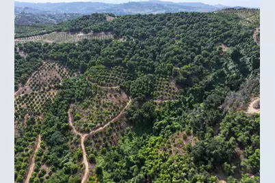  45711 Camaron Road, Temecula, CA 92590 - Photo 4