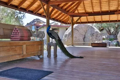  Desert View Tower & 3 Homes, Jacumba, CA 91934 - Photo 8