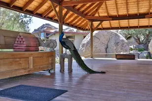 Desert View Tower & 3 Homes, Jacumba, CA 91934 - Photo 8