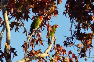 4744 Resmar Rd, La Mesa, CA 91941 - Photo 52
