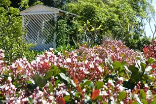 4744 Resmar Rd, La Mesa, CA 91941 - Photo 34