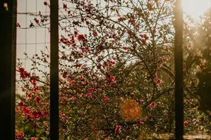 4744 Resmar Rd, La Mesa, CA 91941 - Photo 54