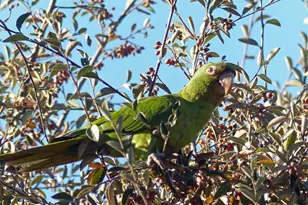 4744 Resmar Rd, La Mesa, CA 91941 - Photo 50