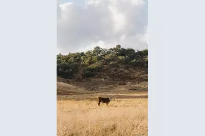  26904 Mesa Grande, Santa Ysabel, CA 92070 - Photo 74