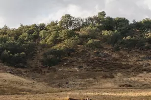 26904 Mesa Grande, Santa Ysabel, CA 92070 - Photo 74