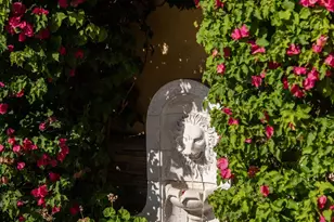 459 Flores De Oro, Rancho Santa Fe, CA 92067 - Photo 16