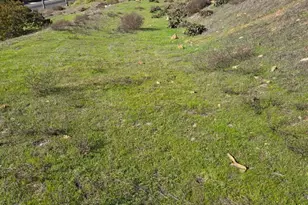 0000 Cadencia St Between 7402-7412, Carlsbad, CA 92009 - Photo 10