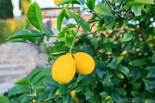 29059 Meadow Glen Way W, Escondido, CA 92026 - Photo 46