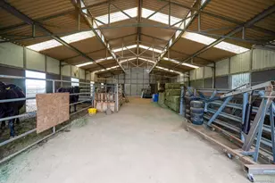 21908 Japatul Ln, Alpine, CA 91901 - Photo 42