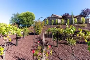 41770 Knoll Vista Ln, Temecula, CA 92592 - Photo 52