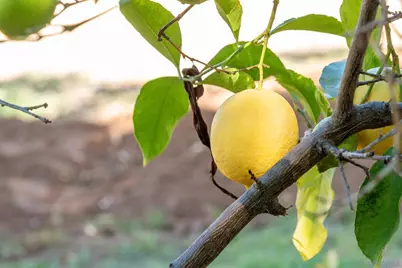  1322 Loma De Paz, Escondido, CA 92027 - Photo 64