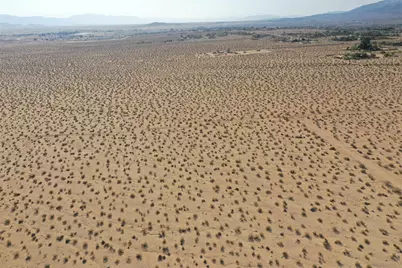  0 29 Palms #9, Twentynine Palms, CA 92277 - Photo 20