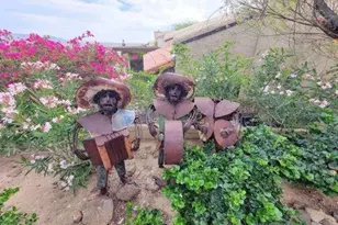 4683 Desert Vista Dr, Borrego Springs, CA 92004 - Photo 24