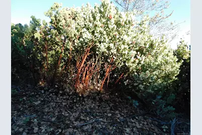  1.90 Ac Mountain View, Julian, CA 92036 - Photo 14