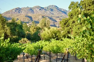 32800 Camino Ortega, Warner Springs, CA 92086 - Photo 46