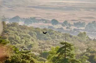 32800 Camino Ortega, Warner Springs, CA 92086 - Photo 18