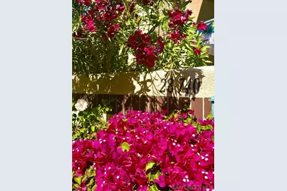  28740 Desert Princess Dr, Cathedral City, CA 92234 - Photo 18