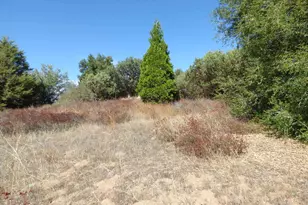 Engineers Rd, Julian, CA 92036 - Photo 10