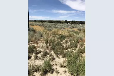  2885 Ribbonwood Rd #5, Boulevard, CA 91905 - Photo 2