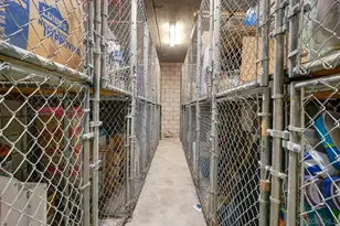 5366 La Jolla Blvd, La Jolla, CA 92037 - Photo 22