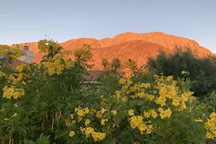 181 Montezuma Dr, Borrego Springs, CA 92004 - Photo 38