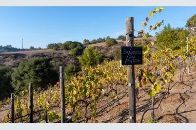  4141 Palomar Drive, Fallbrook, CA 92028 - Photo 64