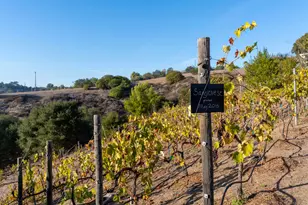 4141 Palomar Dr, Fallbrook, CA 92028 - Photo 64