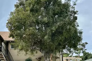 1274 Holly Ave, Imperial Beach, CA 91932 - Photo 34