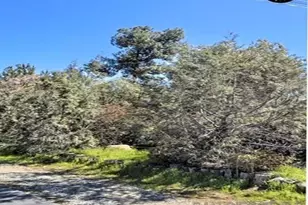 1000 Mountain View, El Cajon, CA 92021 - Photo 1