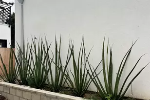 3653 Wilson Ave, San Diego, CA 92104 - Photo 12