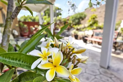  508 Dakota Way, Oceanside, CA 92056 - Photo 44