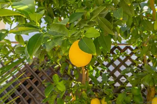 601 N Kirby St, Hemet, CA 92545 - Photo 62