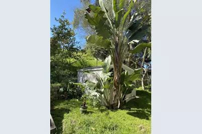  5015 Macario Dr, Oceanside, CA 92057 - Photo 2