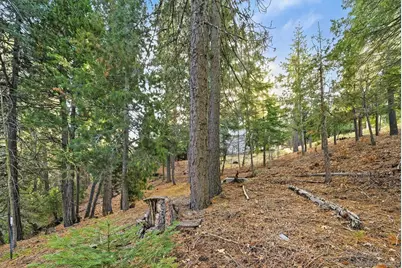  0 State Hwy 173 State Highway #205, Lake Arrowhead, CA 92352 - Photo 22