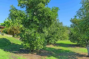 363 Tumble Creek Ln, Fallbrook, CA 92028 - Photo 40