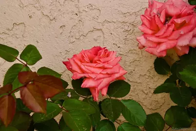  32137 Cerrada Del Coyote, Warner Springs, CA 92086 - Photo 36