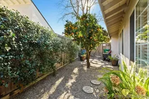 3868 Avenida Feliz, Rancho Santa Fe, CA 92091 - Photo 24