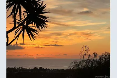  7215 Daffodil Pl, Carlsbad, CA 92011 - Photo 50