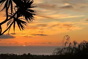 7215 Daffodil Pl, Carlsbad, CA 92011 - Photo 50