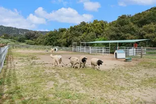 17287 Oak Hollow Rd, Ramona, CA 92065 - Photo 56