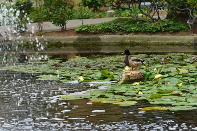  4600 Lamont St #102, San Diego, CA 92109 - Photo 24