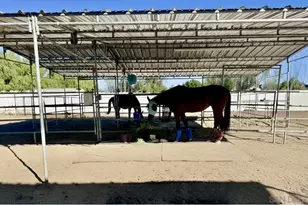 24550 Adams Ave, Murrieta, CA 92562 - Photo 52