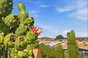 16625 San Tomas Dr, San Diego, CA 92128 - Photo 36