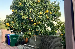 1374 Leaf Terrace, San Diego, CA 92114 - Photo 10